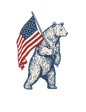 USA FLAG BEARER