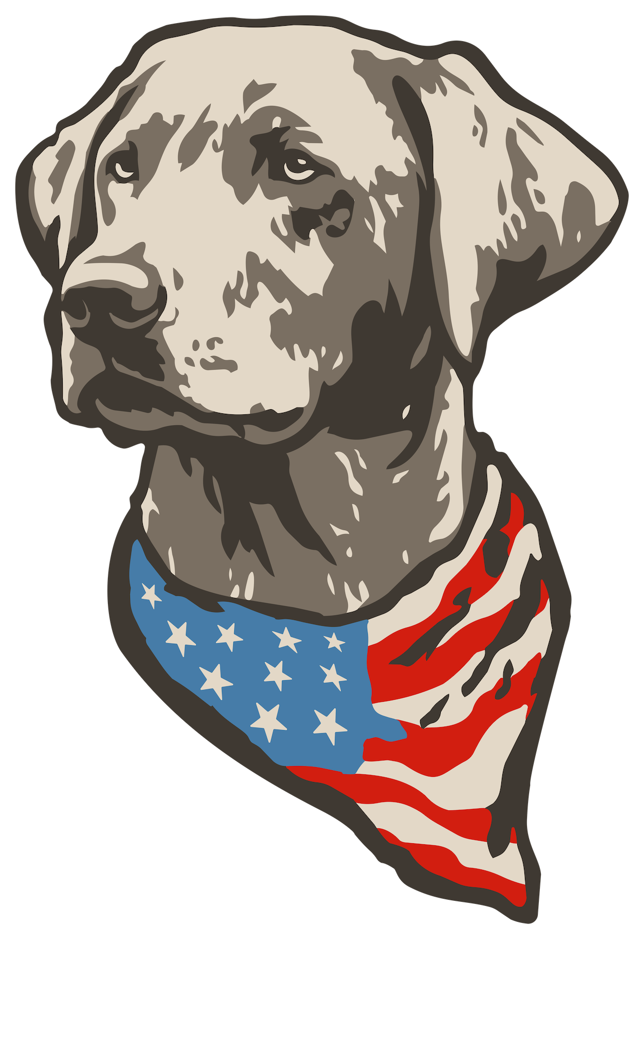 USA PATRIOTIC LAB