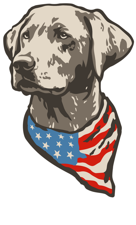 USA PATRIOTIC LAB