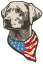USA PATRIOTIC LAB