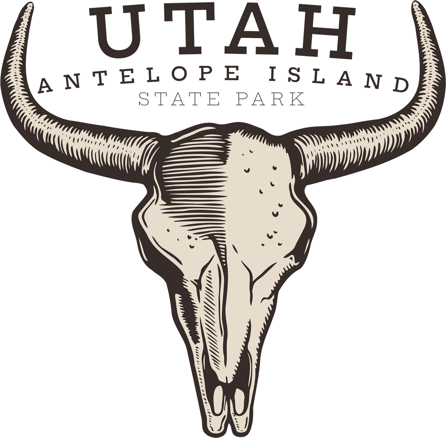 ANTELOPE ISLAND BISON SKULL