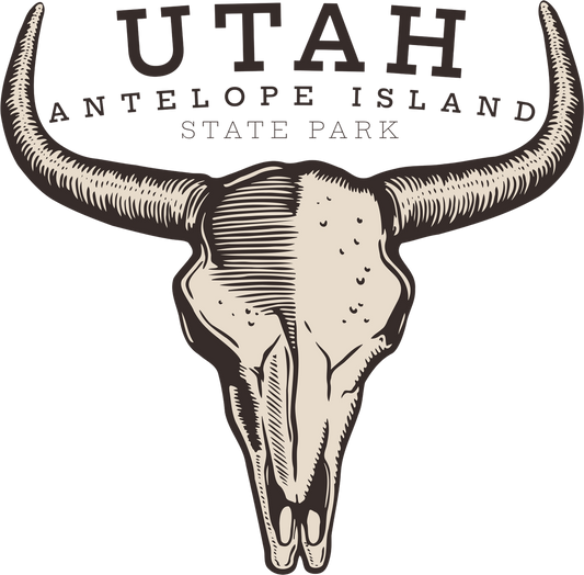 ANTELOPE ISLAND BISON SKULL