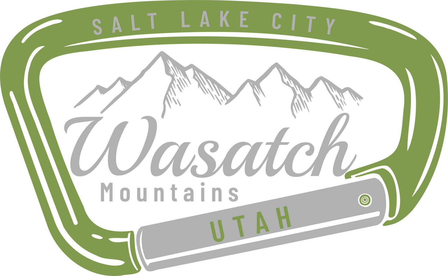 WASATCH CARABINER GREEN/GRAY