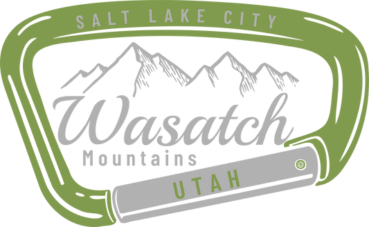 WASATCH CARABINER GREEN/GRAY