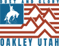 OAKLEY BRONCO FLAG