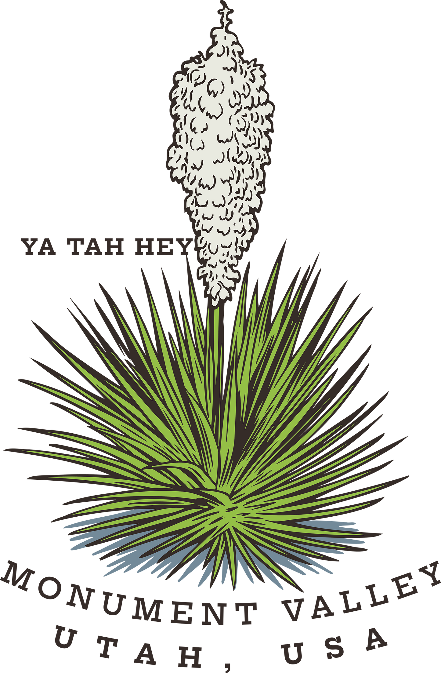 MONUMENT VALLEY YUCCA