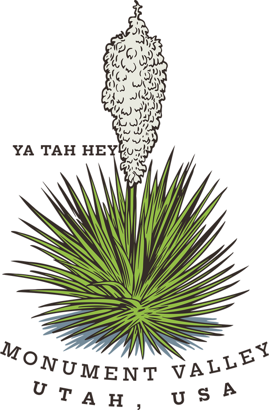 MONUMENT VALLEY YUCCA