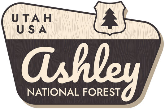 AHSLEY NATIONAL FOREST SIGN