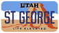 UTAH SAINT GEORGE PLATE
