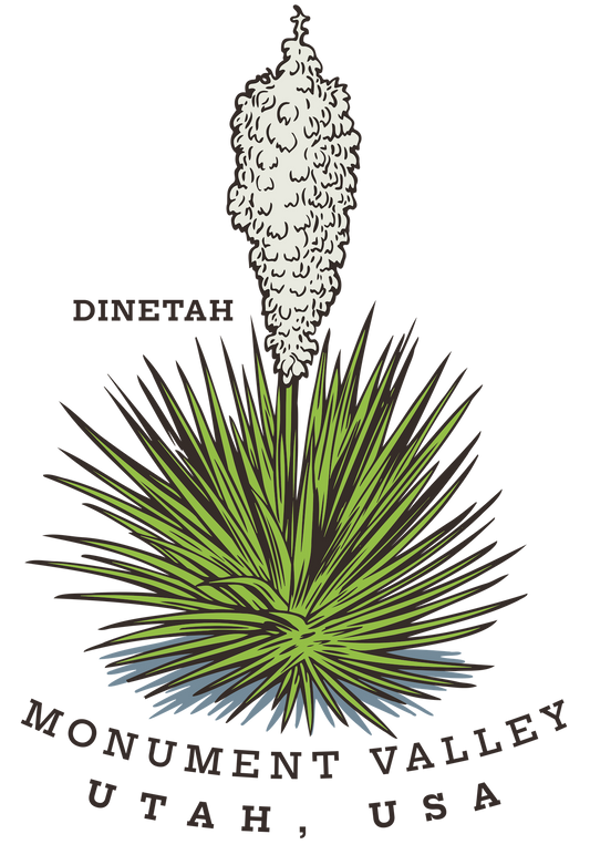 MONUMENT VALLEY YUCCA